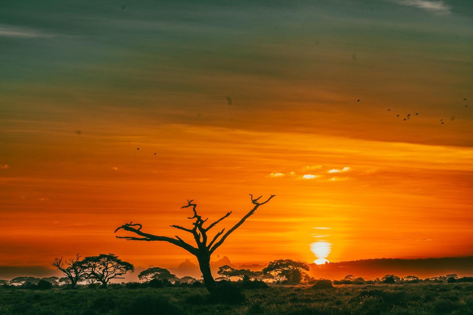 Kilimanjaro View Cabin-Amboseli Oloitokitok 客房 照片