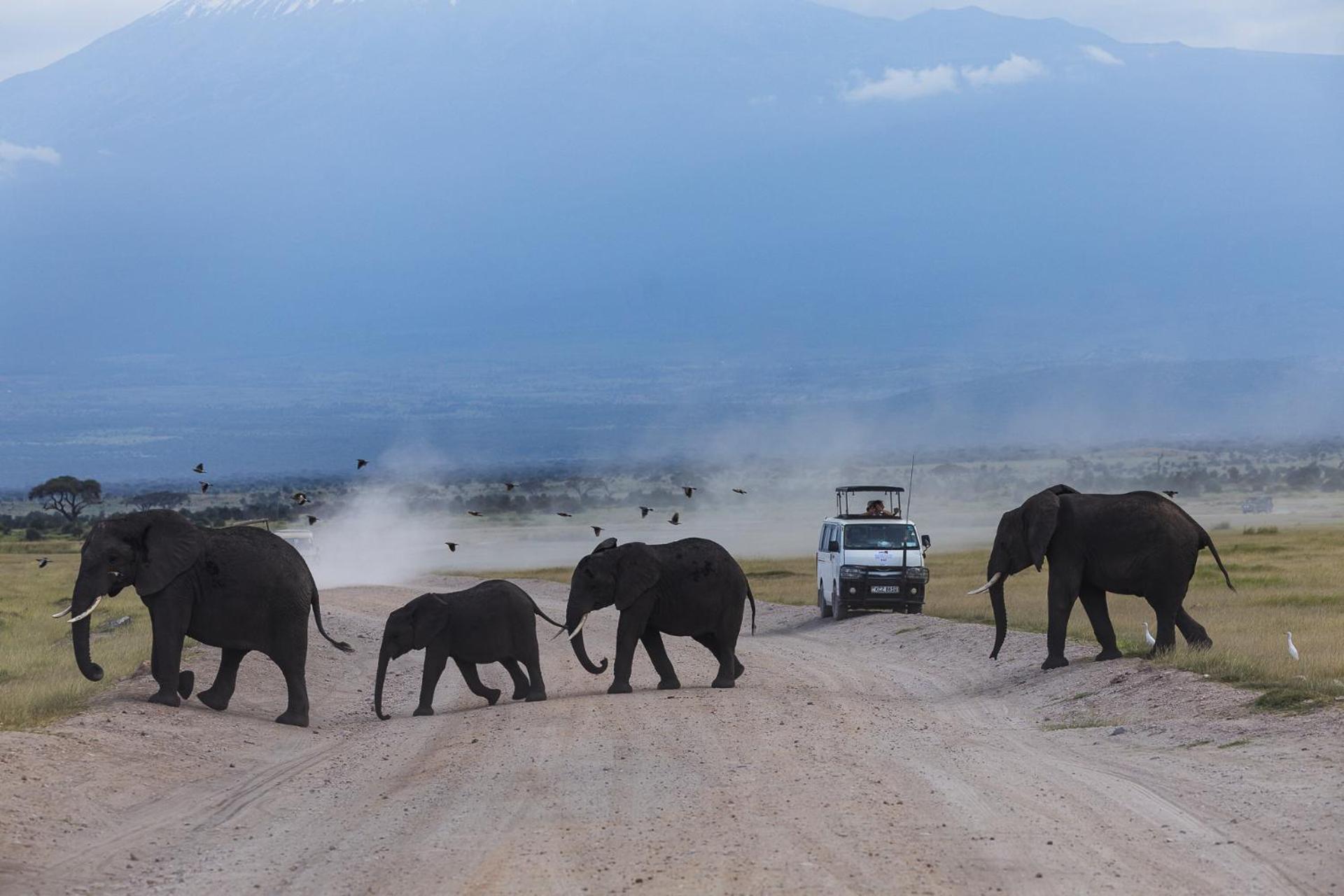 Kilimanjaro View Cabin-Amboseli Oloitokitok 客房 照片